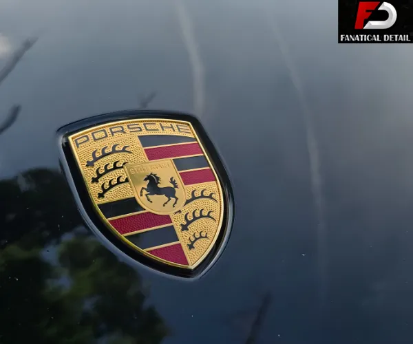 view of a dark sports car post-paint correction